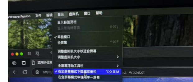 mac vmware fusion  中安装win11使用双屏